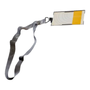 Buried City Town Hall Key