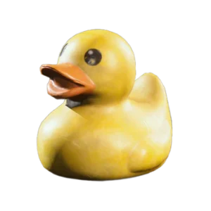 Rubber Duck